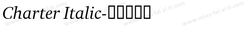 Charter Italic字体转换